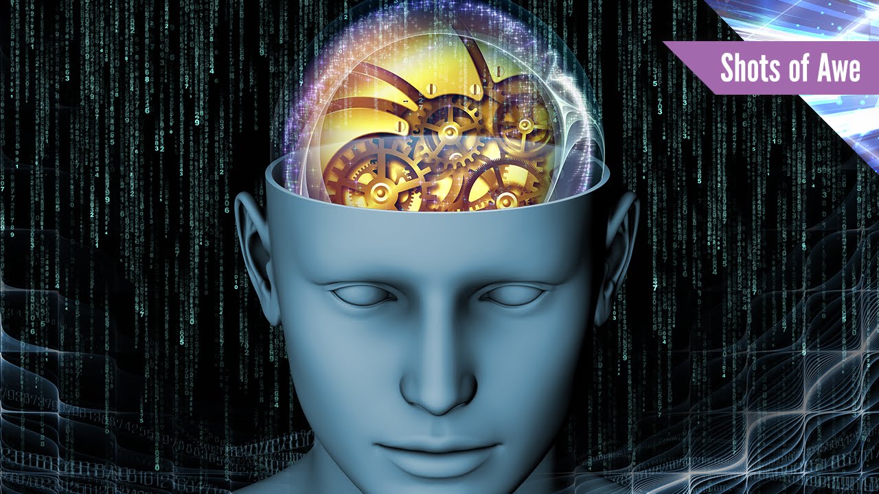 Can We Change The Past The Mind Voyager
