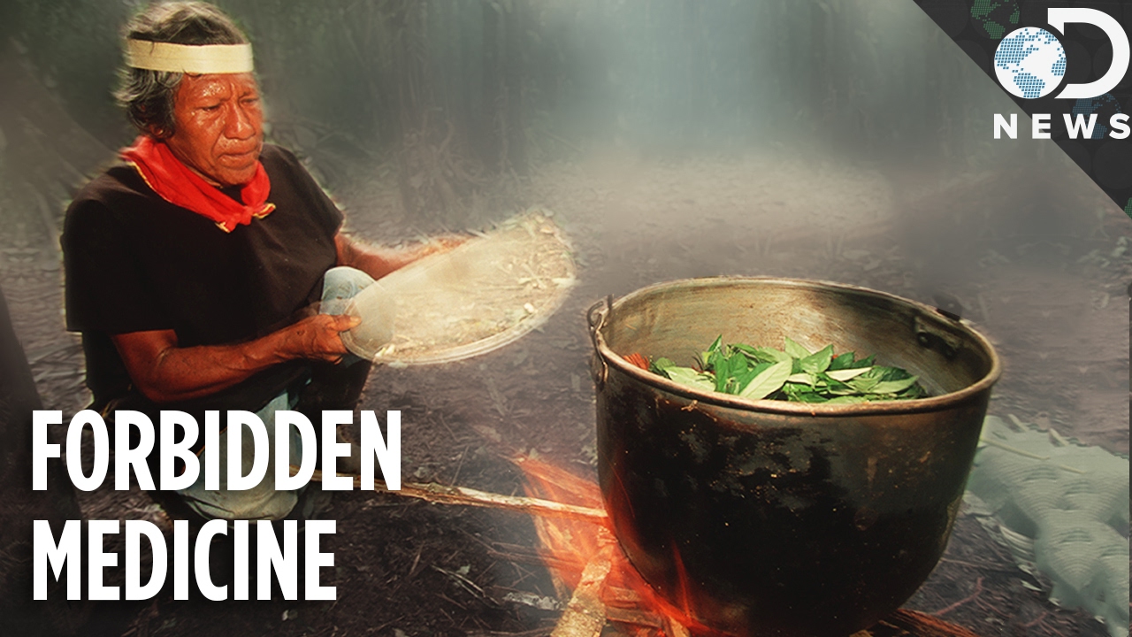 Could The Psychedelic Drug Ayahuasca Cure Depression? - The Mind Voyager