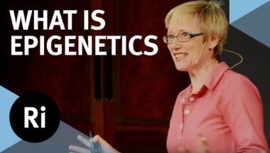 Nessa Carey: What is Epigenetics?
