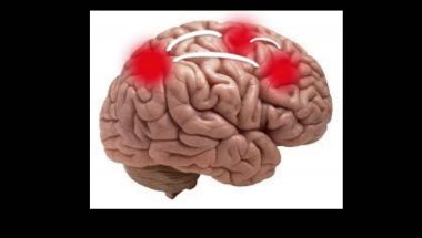 Torkel Klingberg: Improving working memory capacity