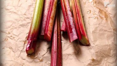 The orangutan who can make his own imaginary cocktails