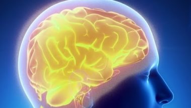The Human Brain Project