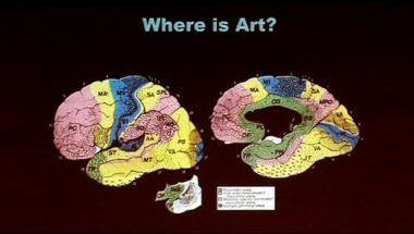 Creative Brains: Music Art and Emotion
