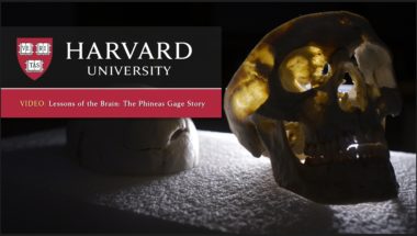 Lessons of the brain: the Phineas Gage case