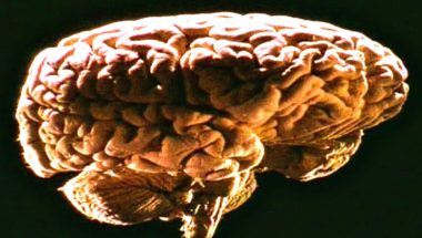 Naked Science - Telepathy