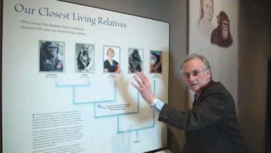 Richard Dawkins: Why are there still Chimpanzees?