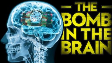 Stefan Molyneux: The Bomb in the Brain - Brain Development and Violence