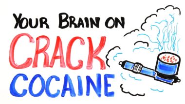 Your Brain on Drugs: Crack Cocaine