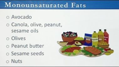 Food and Addiction: Dietary Fats: The Good the Bad and the Ugly