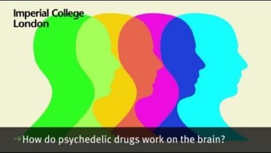 How do psychedelic drugs work on the brain?
