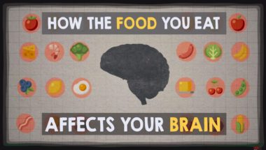 How the food you eat affects your brain