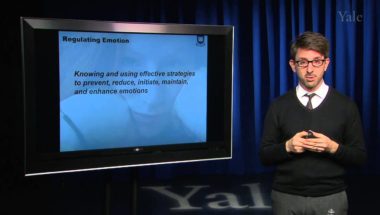 Human Emotion 12.2: Emotion and Cognition II (Emotional Intelligence)