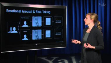 Human Emotion 13.3: Judgment & Decision Making III (Decision & Risk-Taking)