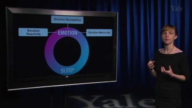 Human Emotion 16.1: Physical Health I (Sleep)