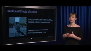 Human Emotion 16.2: Physical Health II (Stress)