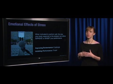 Human Emotion 16.2: Physical Health II (Stress)