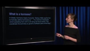 Human Emotion 16.3: Physical Health III (Hormones)
