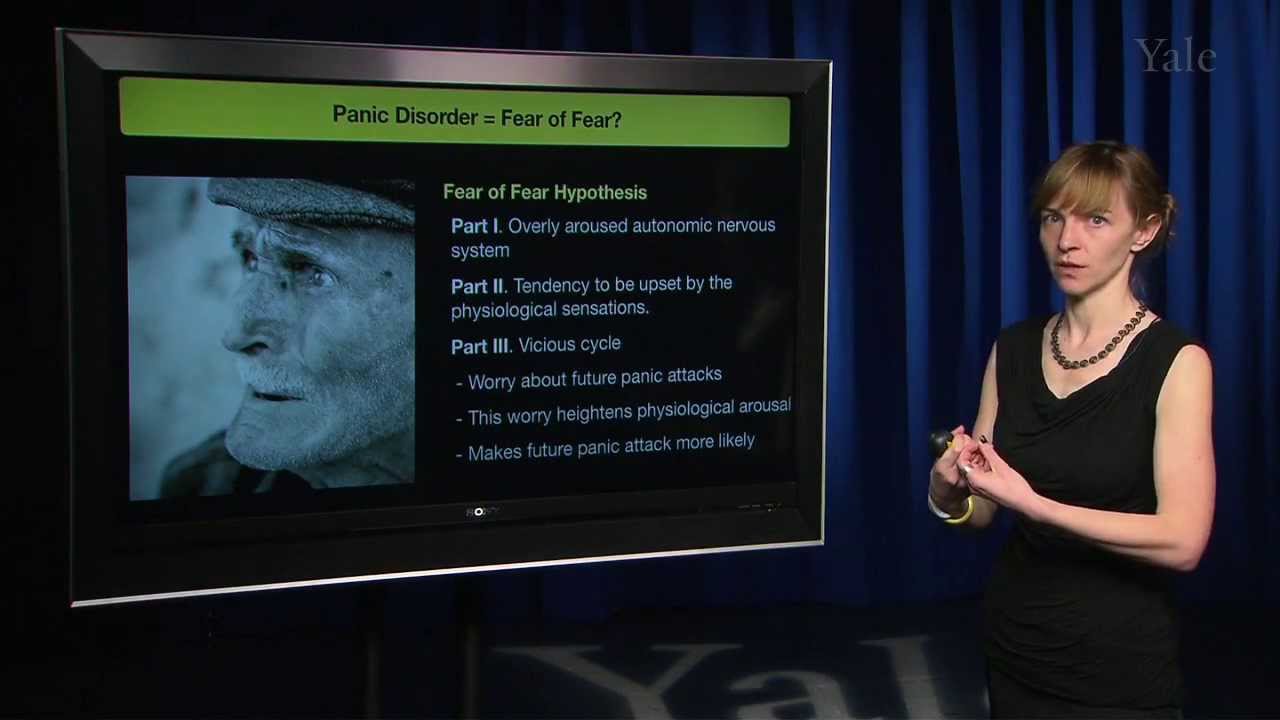 Human Emotion 17.1: Emotional Disorders I (Fear and Anxiety)