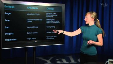 Human Emotion 7.1: Psychophysiology I (Introduction)
