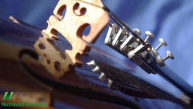 Music for Anxiety: Mozart vs. Metal