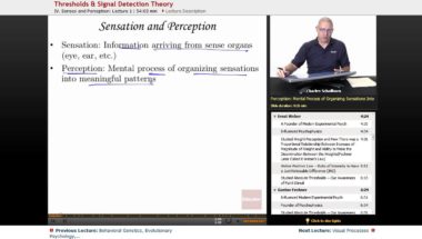 AP Psychology: Threshold & Signal Detection Theory