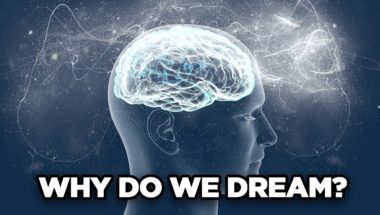 10 Unsolved Mysteries Of The Brain