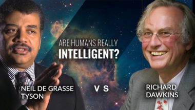 Are Humans Really The Most Intelligent Species?