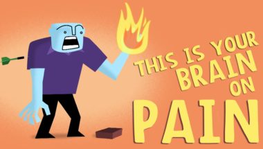 How does your brain respond to pain?