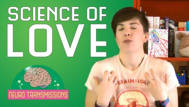 The Neuroscience of Love