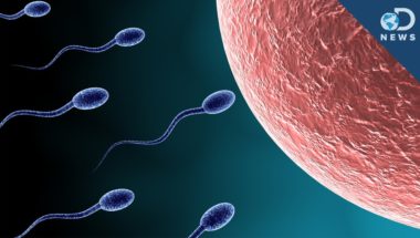 The Sperm Struggle is Real