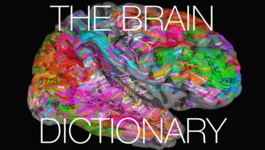The brain dictionary