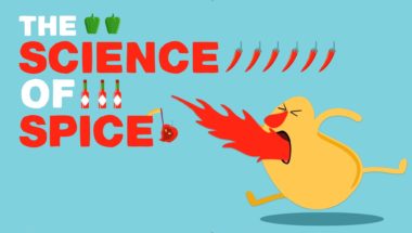 Rose Eveleth: The science of spiciness