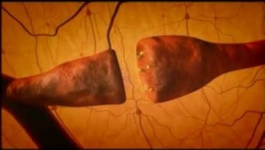 How neurotransmitters work in the brain