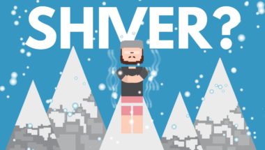 Why Do We Shiver?