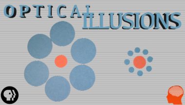 Can You See These Optical Illusions?