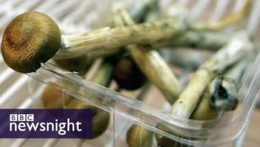 Could magic mushrooms treat depression?