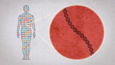How to sequence the human genome