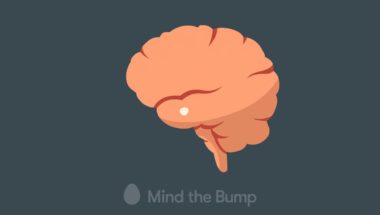 Mindfulness and how the brain works