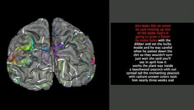 Neuroimaging reveals detailed semantic maps across human cerebral cortex