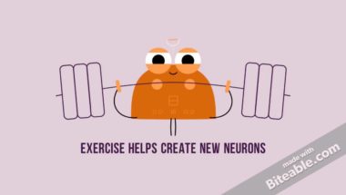 Neuroscience Minute: Your Hippocampus and Stem Cells