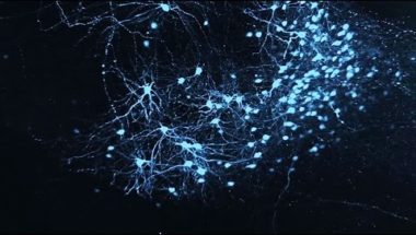 Processing emotions