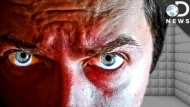 Psychopath vs. Sociopath: What’s The Difference?