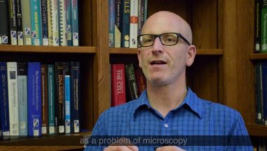 Revolutionary method to map the brain at single-neuron resolution