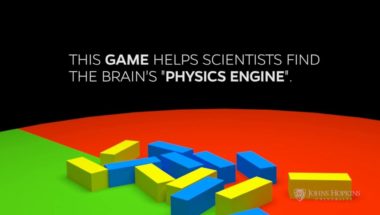 Test Your Brain's "Physics Engine"