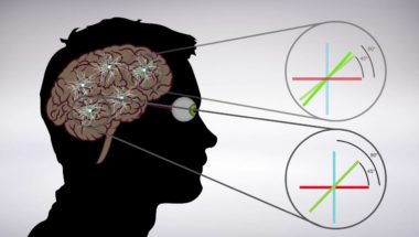 There is more to dendrites than meets the eye: cluster synaptic inputs and orientation selectivity.
