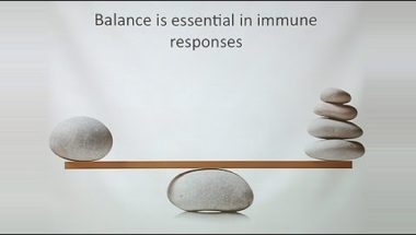 What Do We Really Know About Meditation and Health?