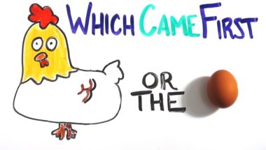 Which Came First - The Chicken or the Egg?