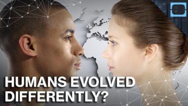 Why Europeans And Asians Evolved So Differently