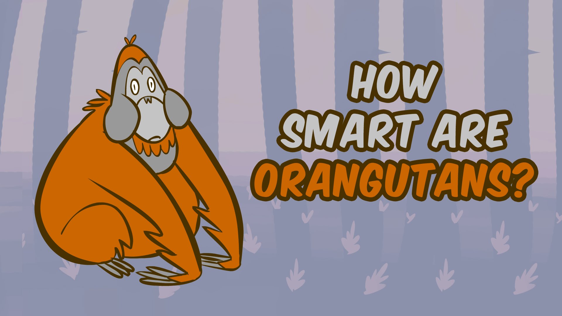 How smart are orangutans?