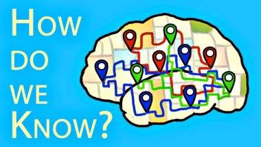 Which Parts Of The Brain Do What?